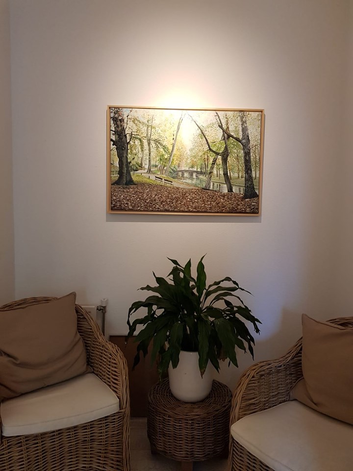 De Maliebrug in de Fysiotherapie praktijk